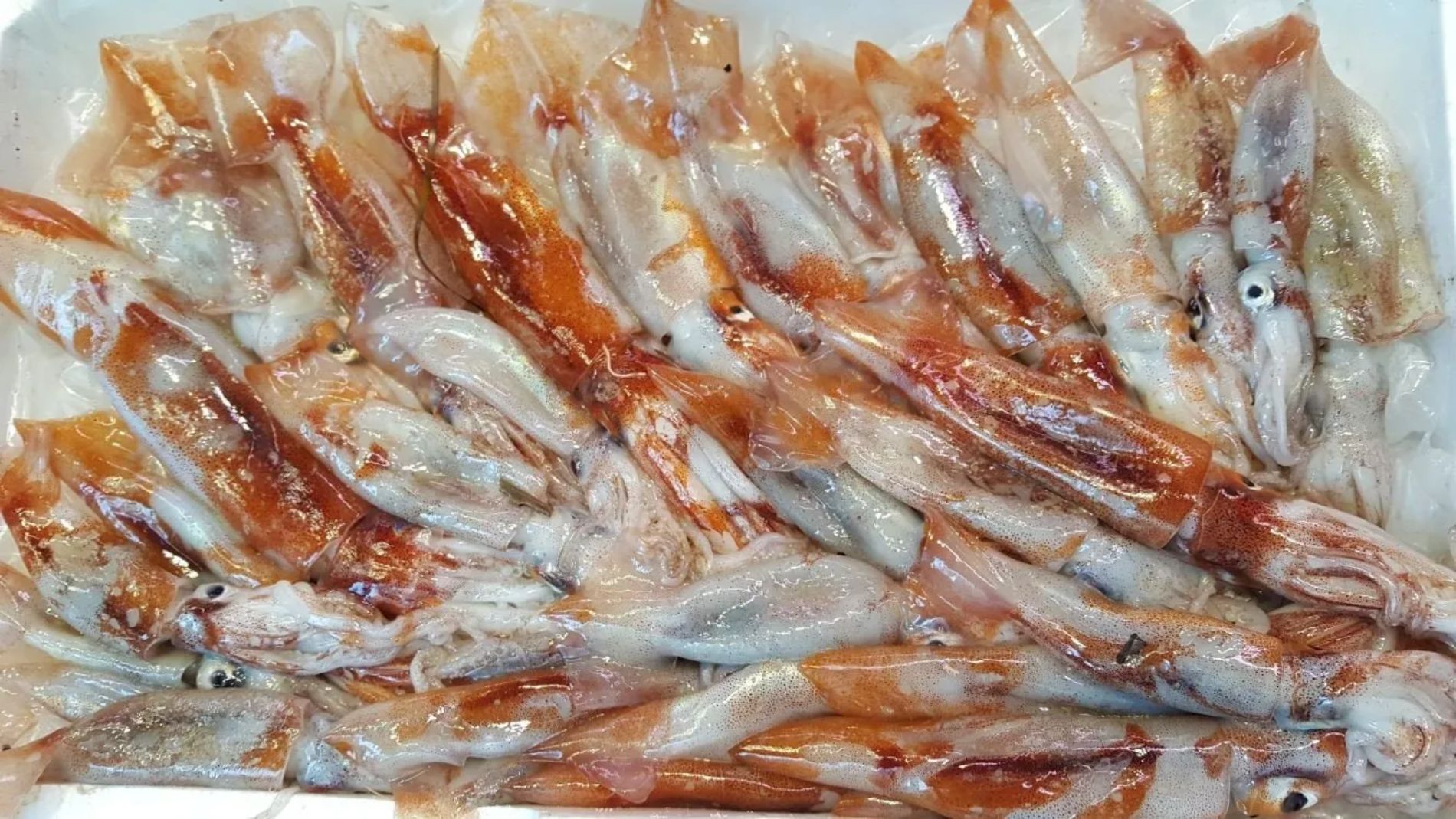 pesce fresco pulito