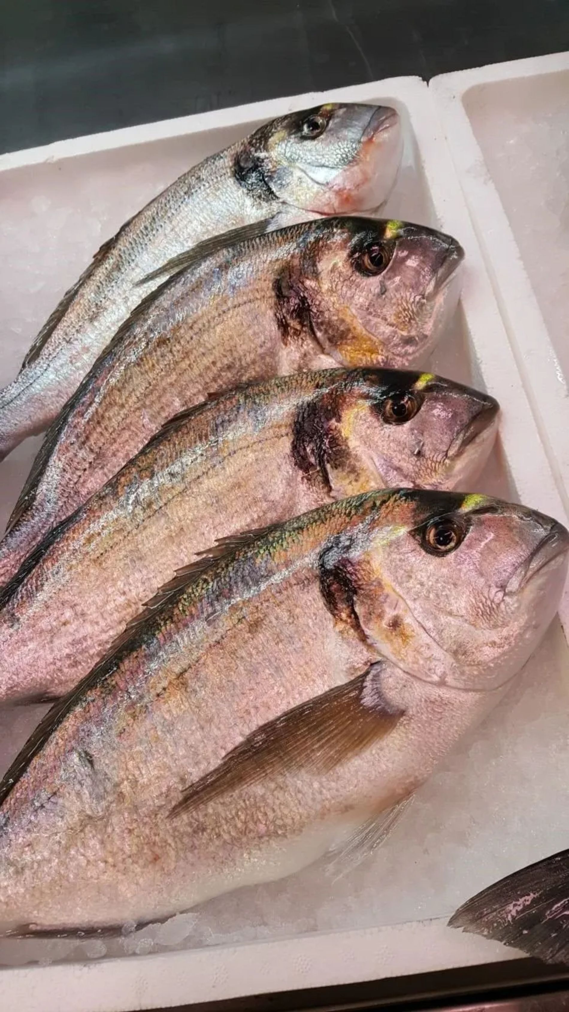 vassoio di pesce pulito
