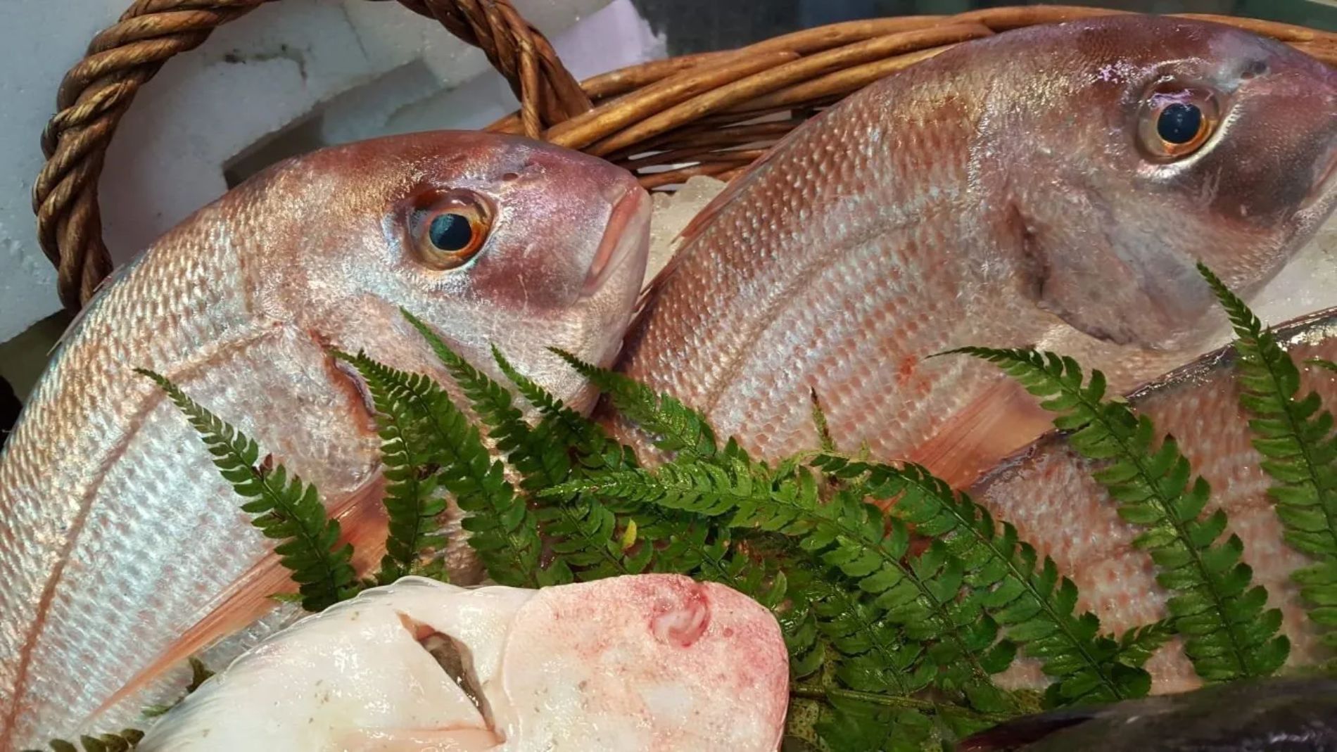 pesce in vendita