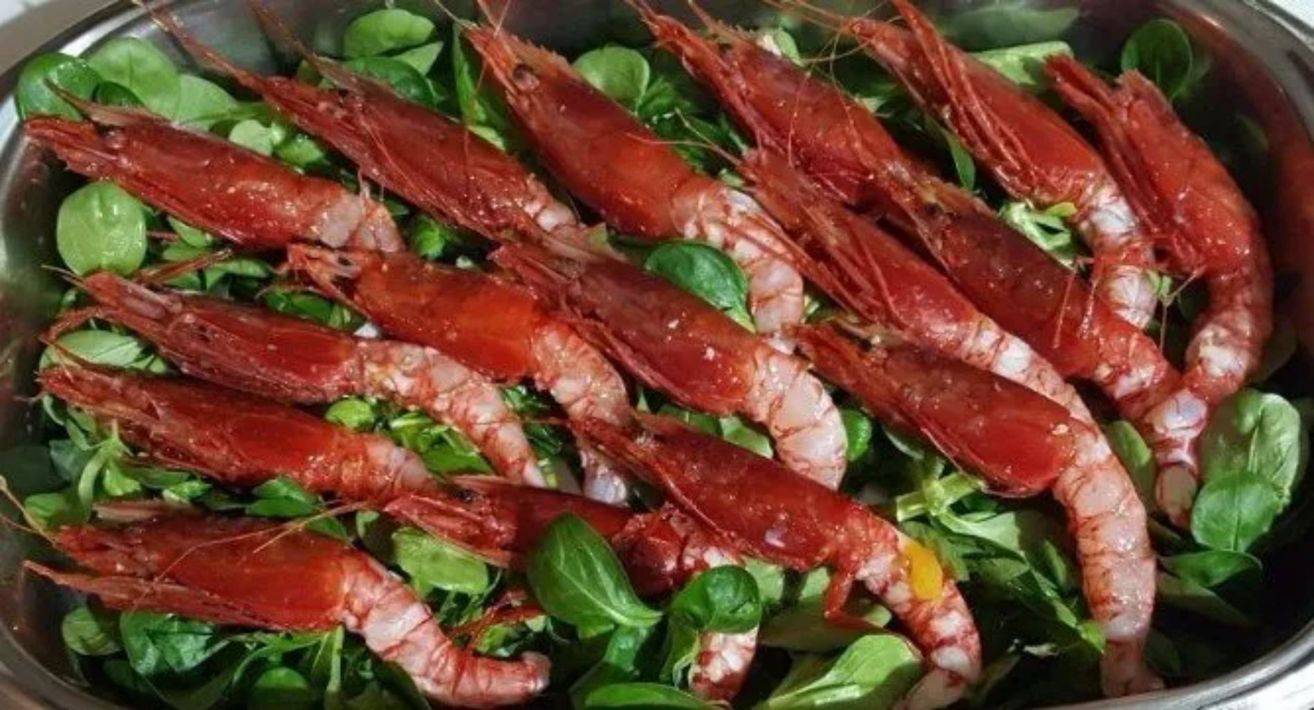 crostacei della pescheria