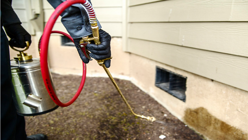 Pest Control leads