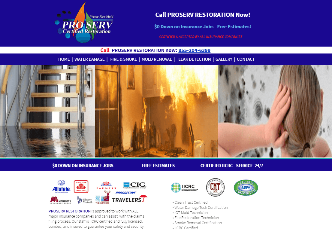 Plumbers' Websites