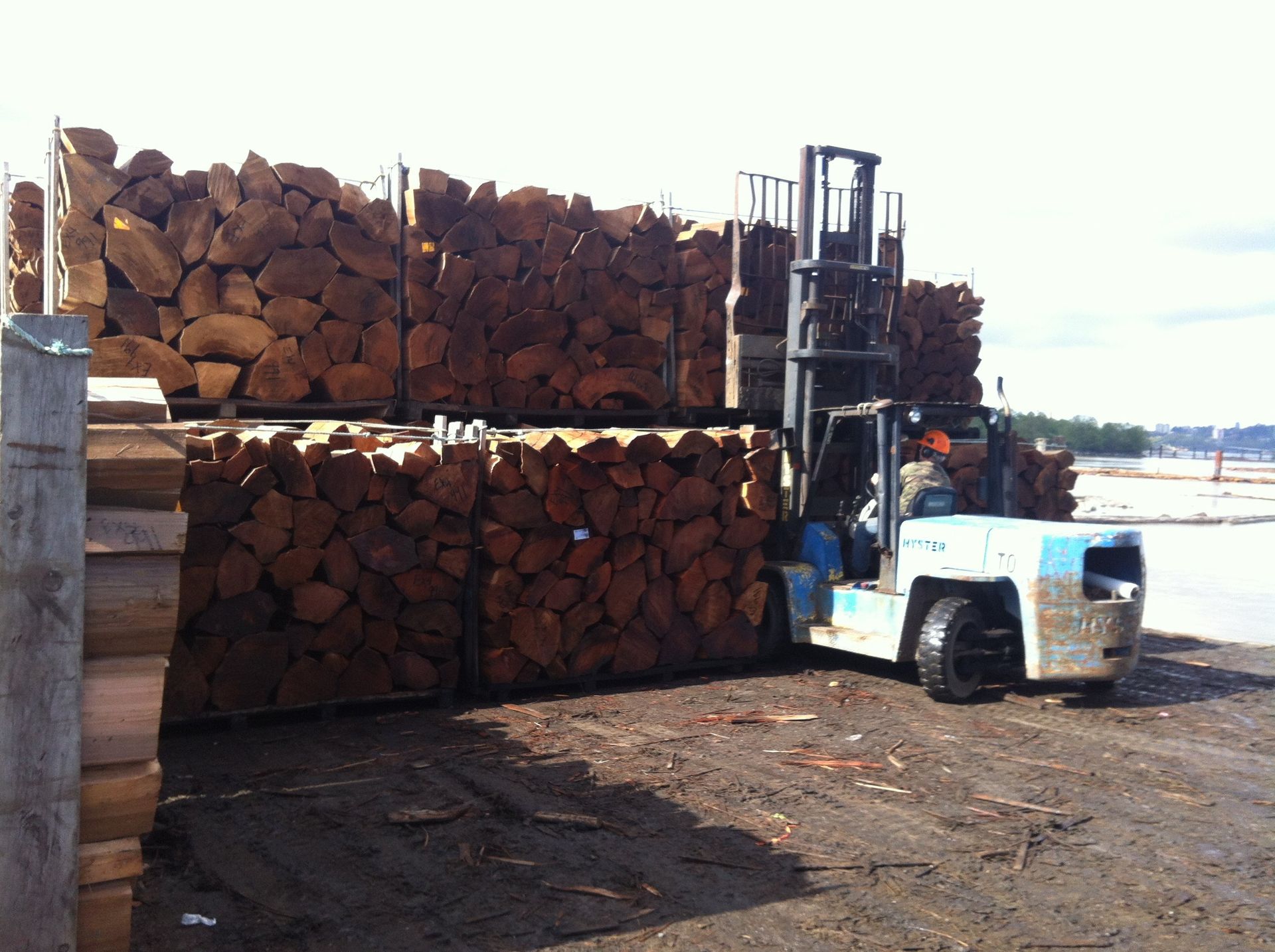 Pile of logs