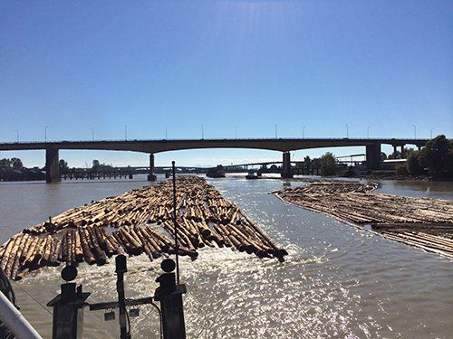 Logs being towed by Quadrant Towing