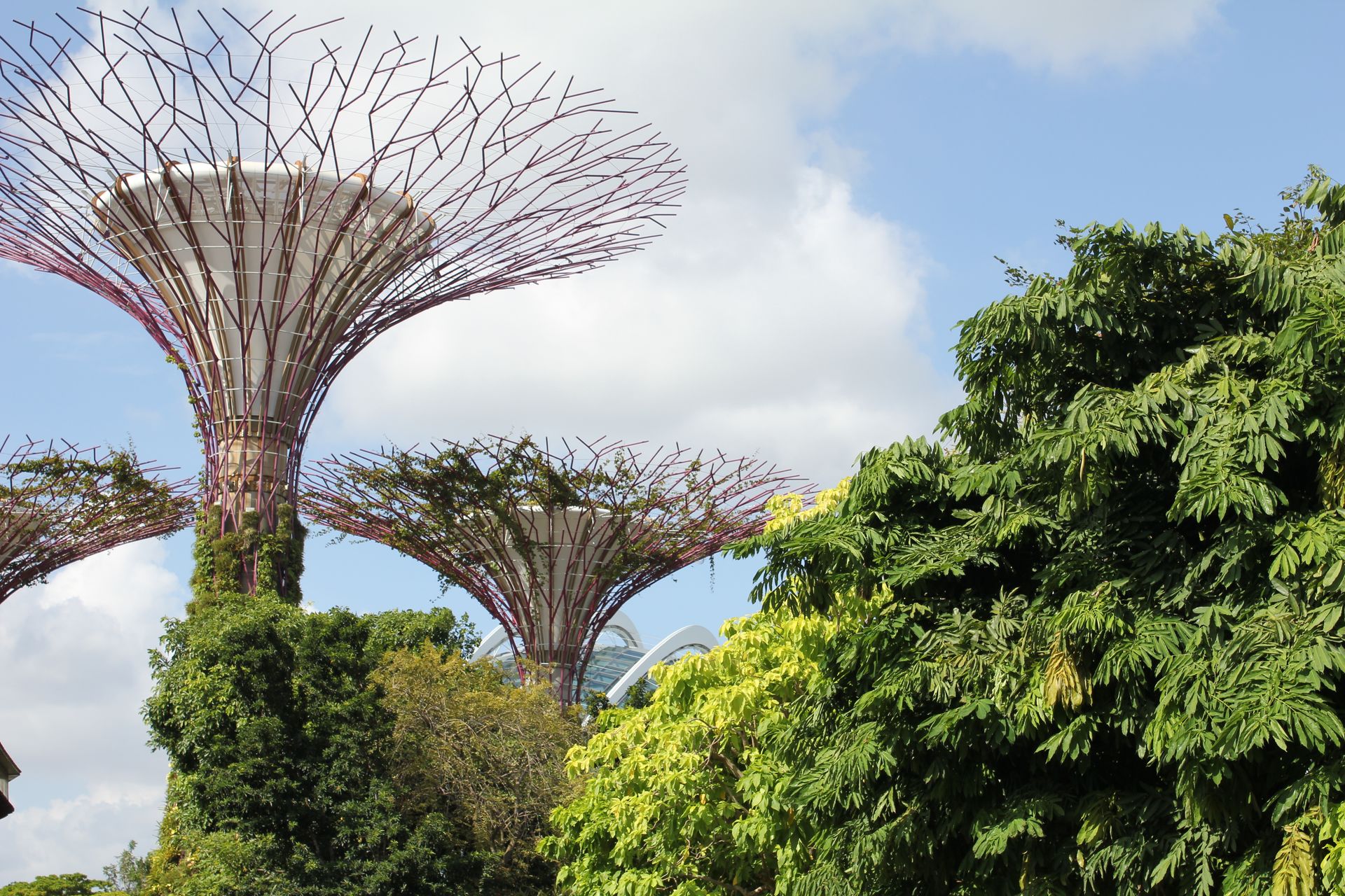 Gardens By The Bay