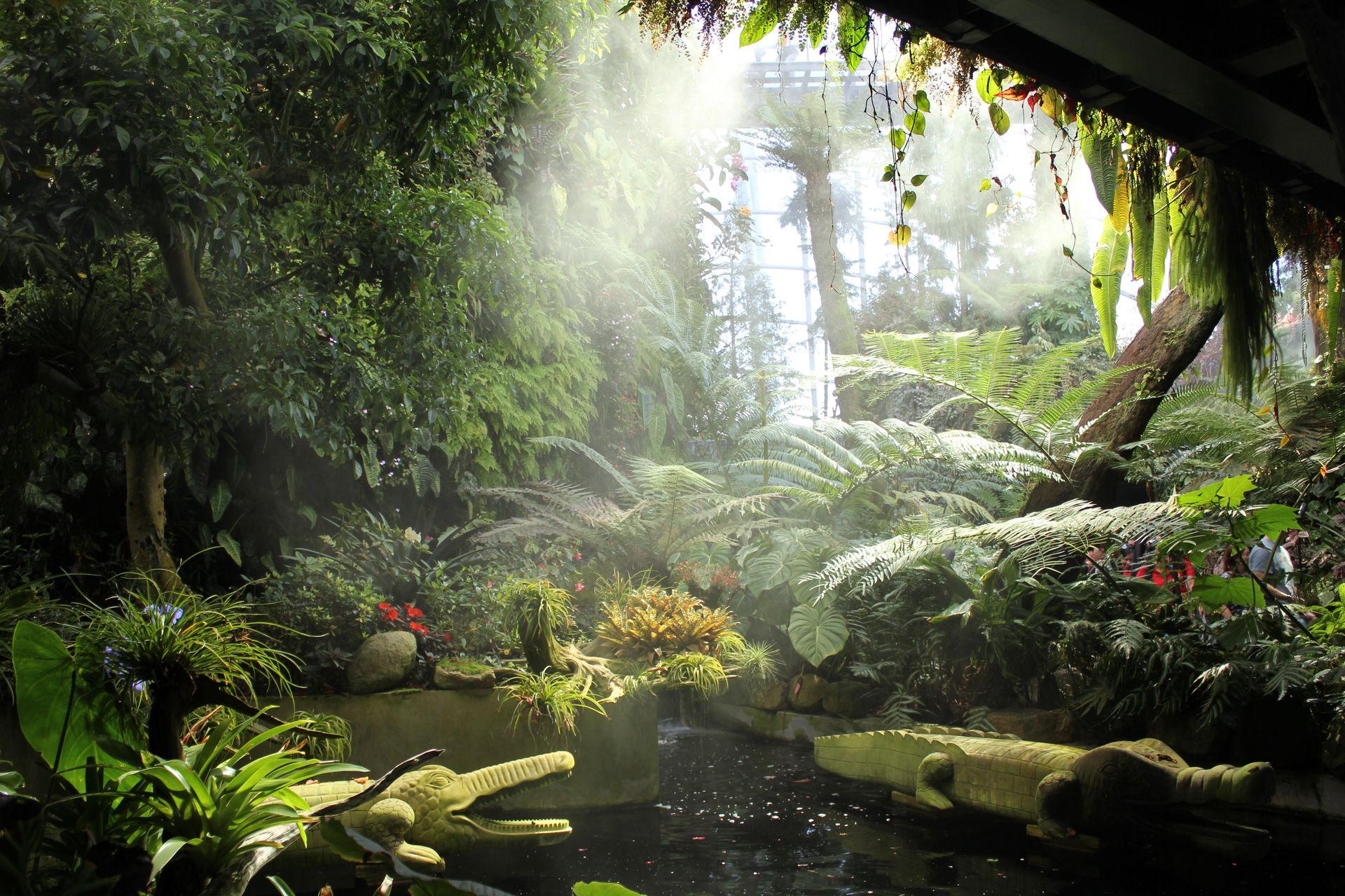 Rain Forest