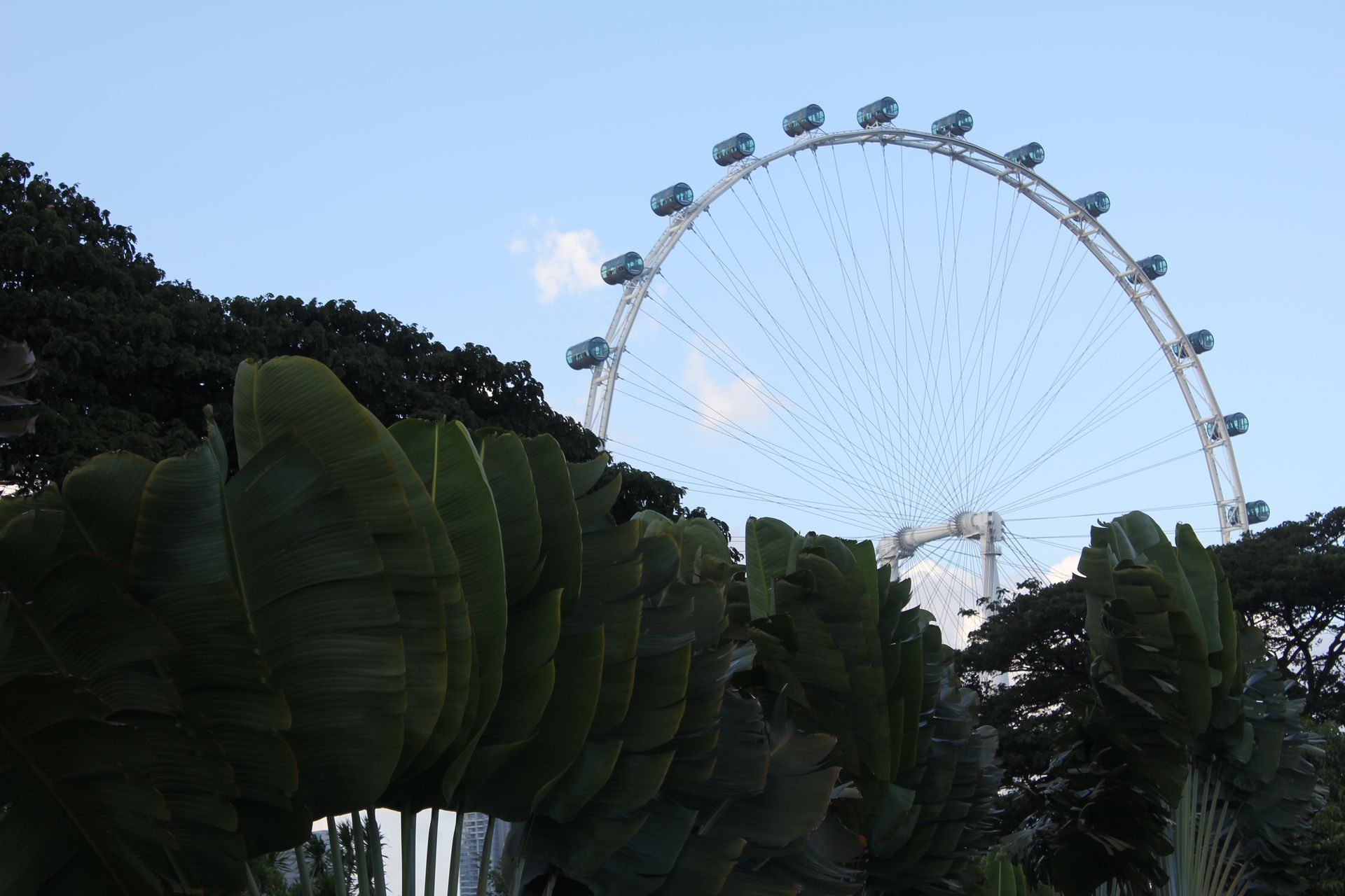 Singapore Flyer