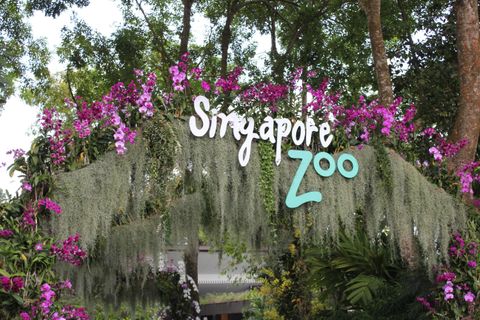 Singapore Zoo