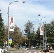pole banners