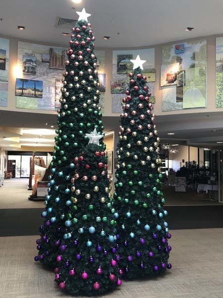 three indoor Christmas trees