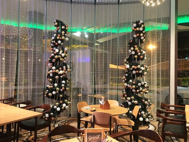 twin Christmas trees indoors