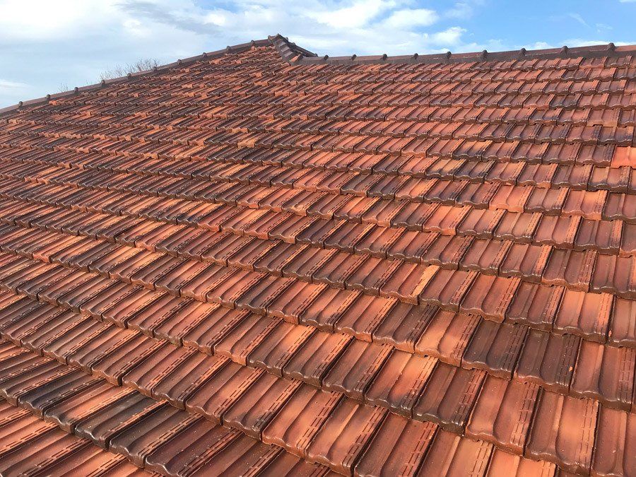 De-mossed roof