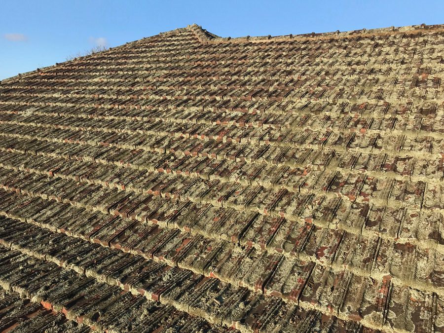 Moss-infested roof