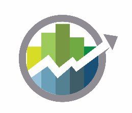 Bookkeeping Insight