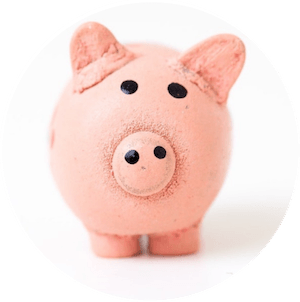 Pink Piggy Bank for Donations