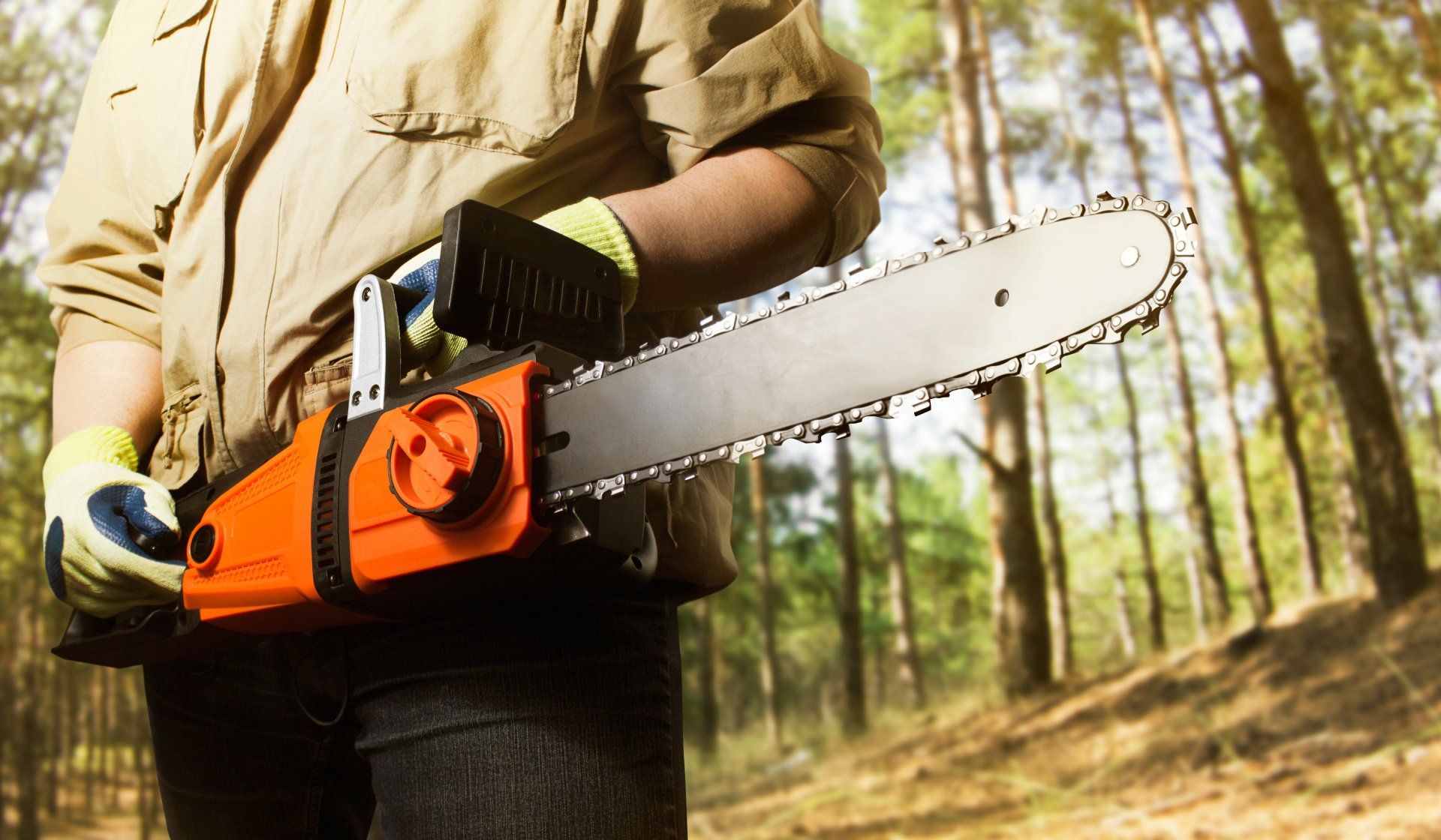 North Florida Tree Service in Jacksonville Florida