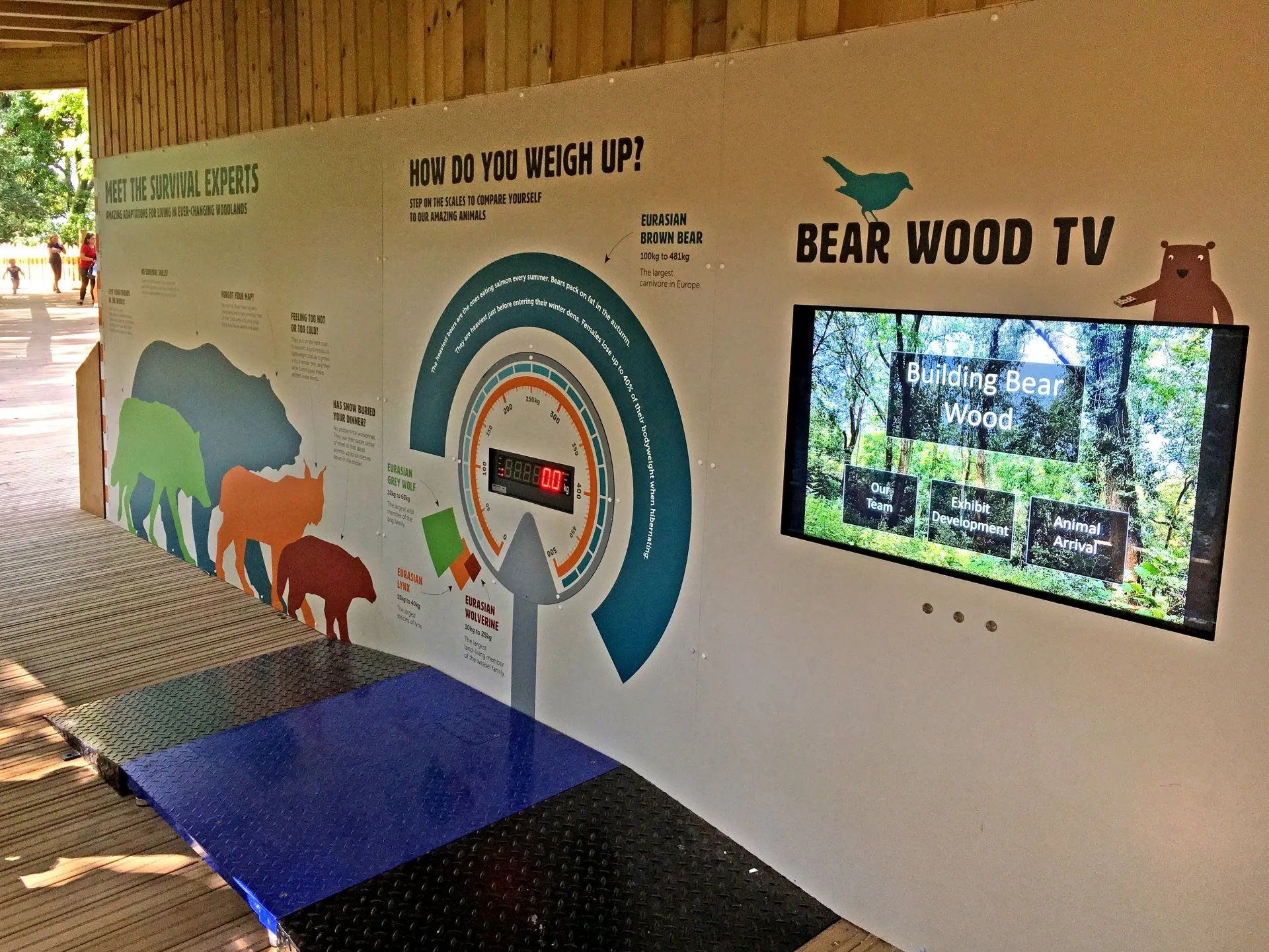 A wall with a bear wood tv on it
