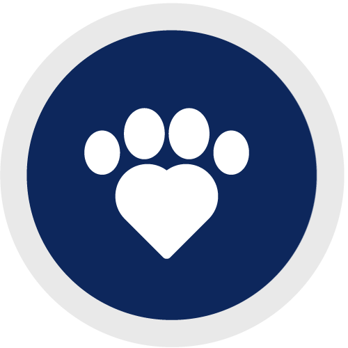 paw