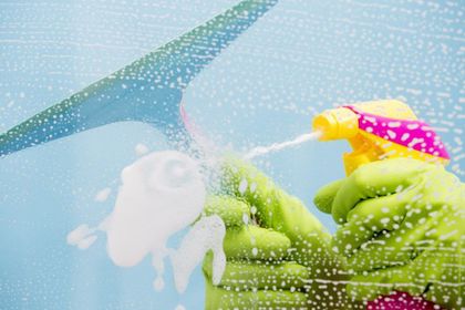 Window Cleaning Services