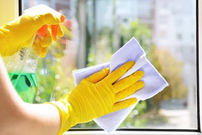 Window Cleaning Services