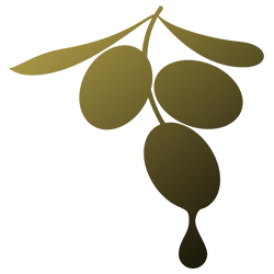 Icona – Piante da esterno, da frutta e grasse Icona – Piante da esterno, da frutta e grasse