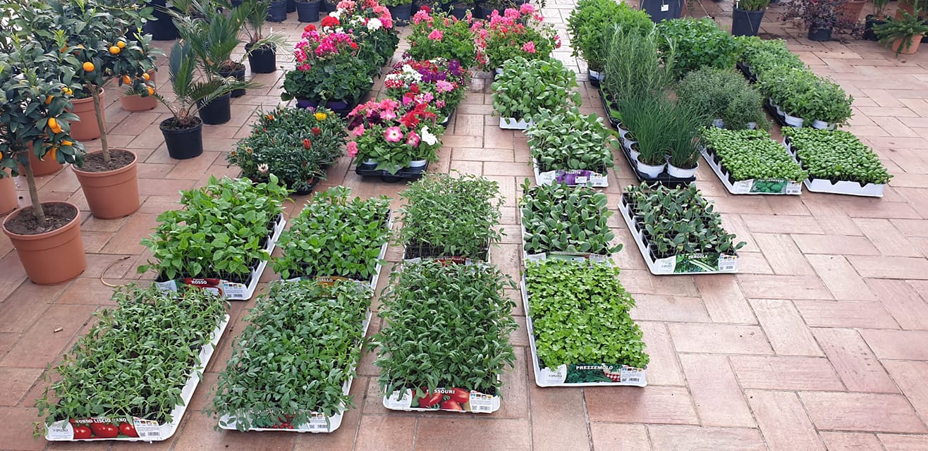 azienda