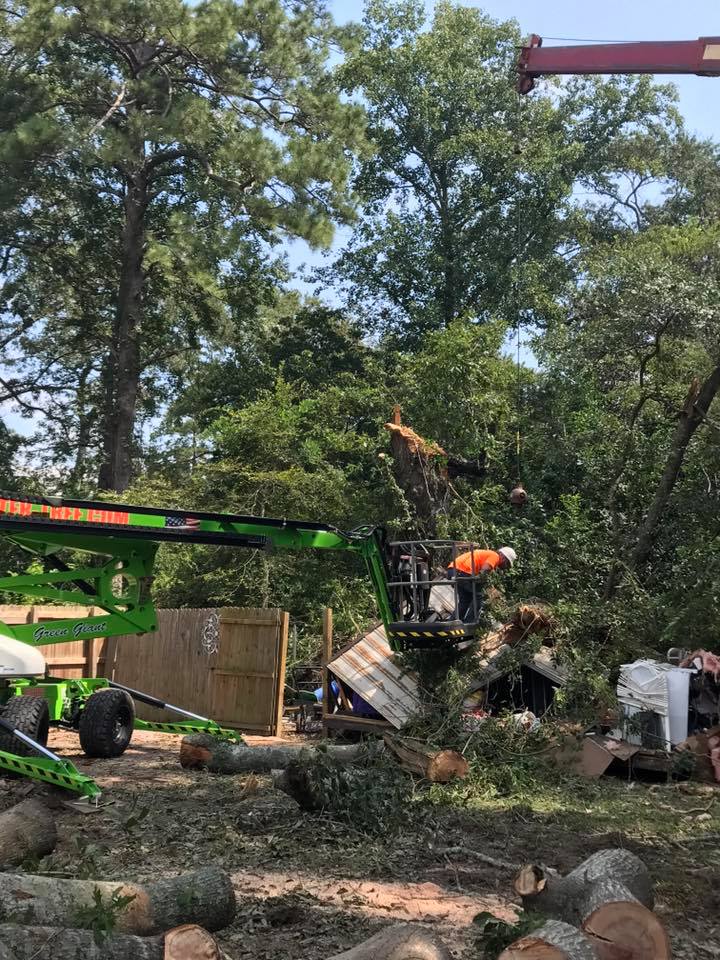 Tree service worker in a lift basket cutting tree branches; logs on the ground, green lift, sunny outdoors.