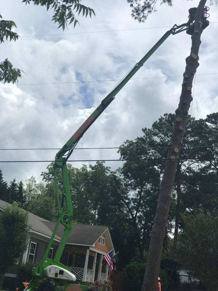 A tall green tree-trimming lift cutting a tall tree near a house.