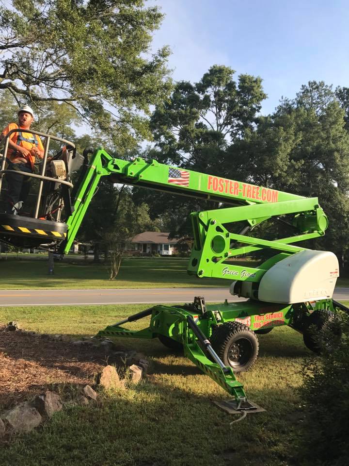 A tree service worker in a lift basket trims a tree. The lift is green, on a grassy lawn.