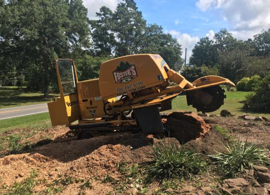 Stump Grinding in LaGrange, GA
