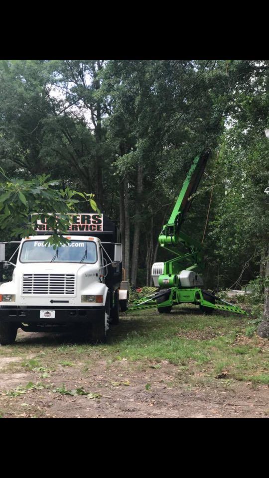 A tree service truck and lift trimming trees in a wooded area. Green lift extends into the branches.