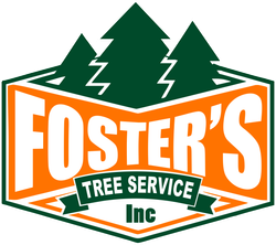 Logo for Foster's Tree Service: Orange and green with pine trees, and company name.