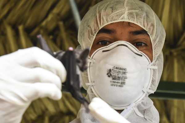 N95 mask
