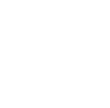 Our Vision