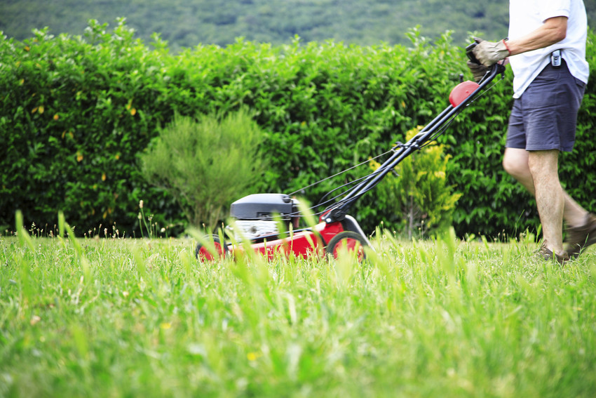GARDEN CARE