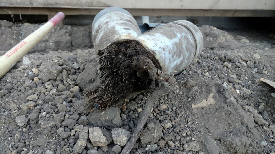 Alliance Septic Service | Septic Maintenance | San Luis Obispo