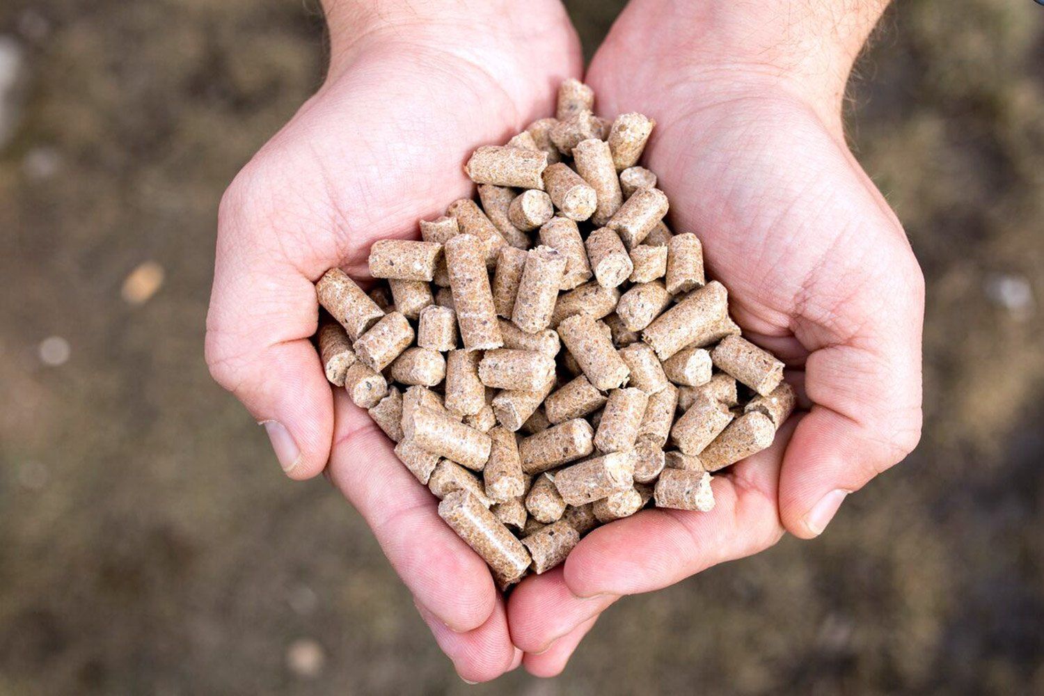 vendita pellet sfuso
