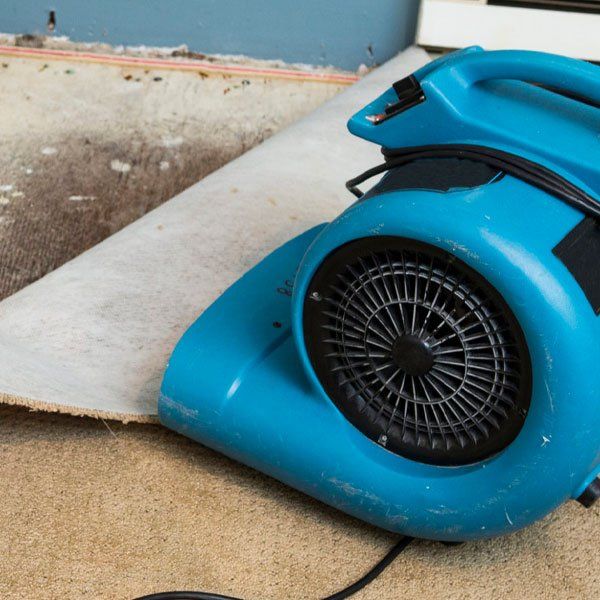 A blue fan is sitting on the floor next to a carpet.