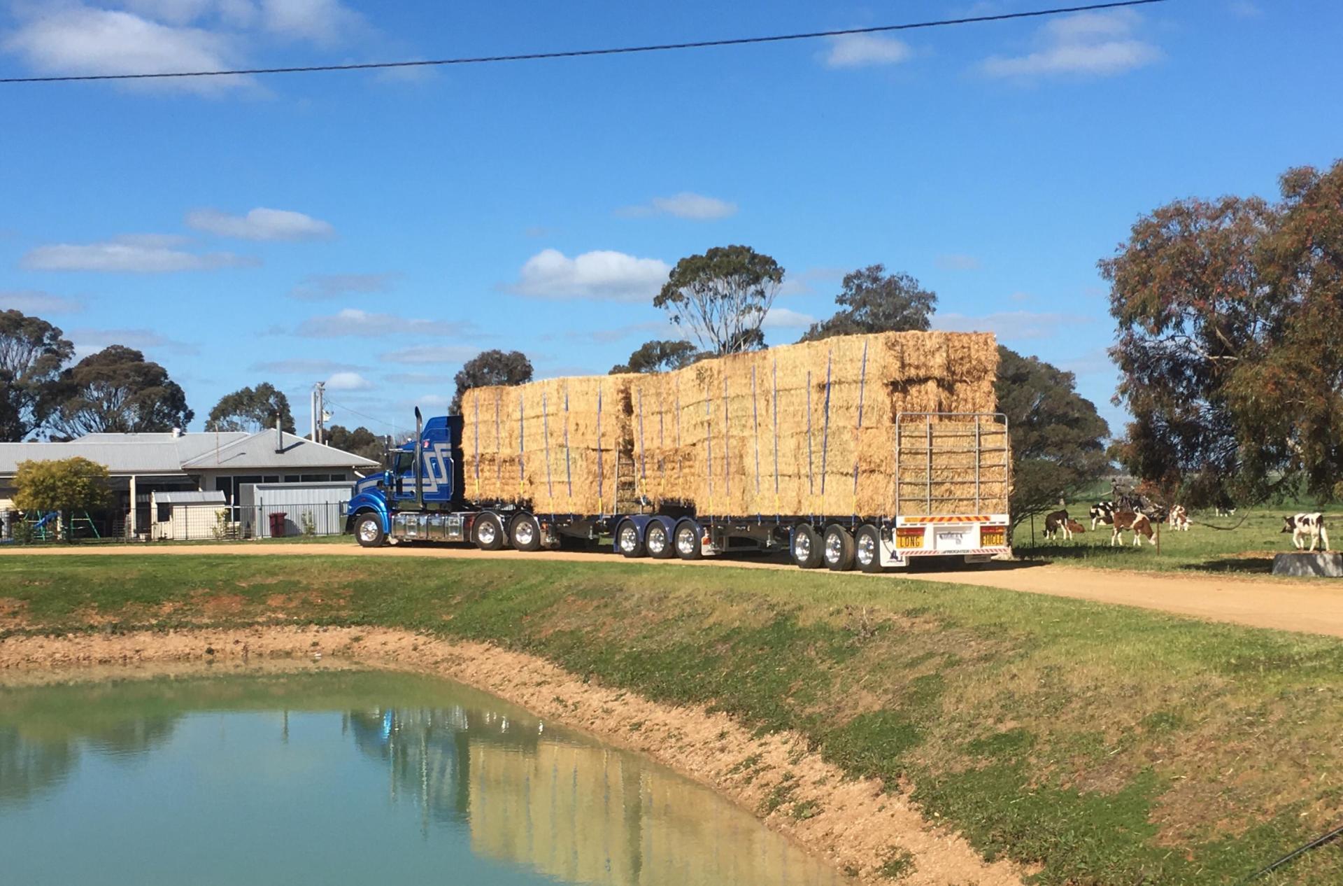 Hay Cargo Truck