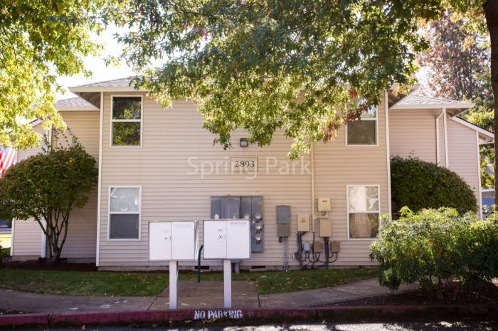 Spring Park gallery