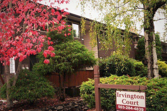 Irvington Court Sign and Red Tree