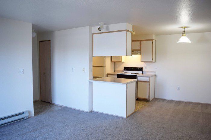 Spring Park kitchen