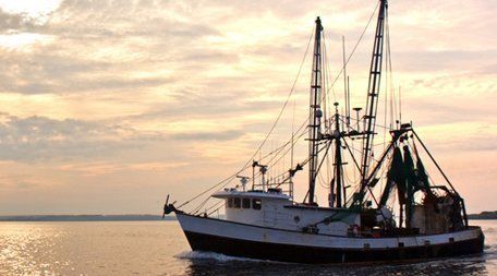 small fishing boat with net gantries furled