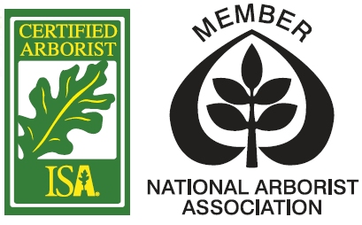 ISA logo