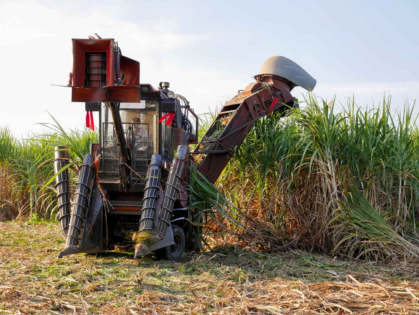 Hydraulic Truck - Hydraulic Repair in Paget, QLD Hydraulic Truck - Hydraulic Repair in Paget, QLD