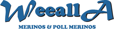 logo weealla
