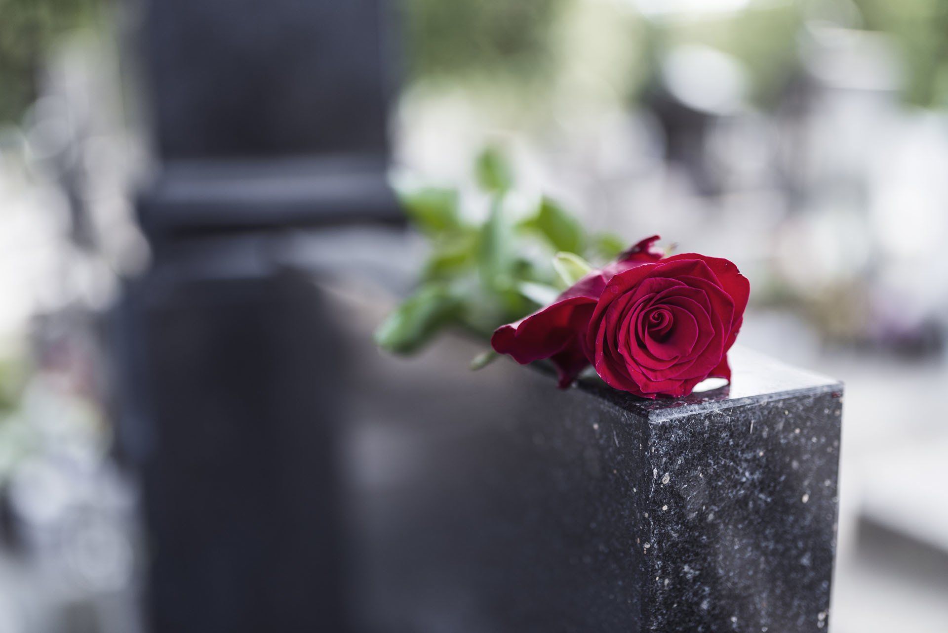 Wrongful Death Lawsuit — Flower on Memorial Stone in Gillette, WY