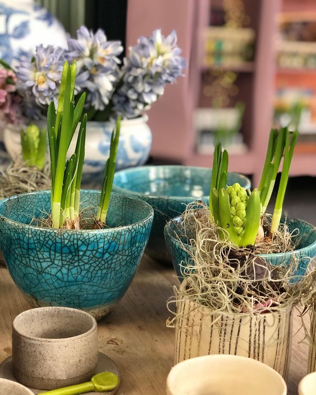Bulbi e fiori primaverili in vaso, disposti in fioriere testurizzate color verde acqua e crema su un tavolo rustico.