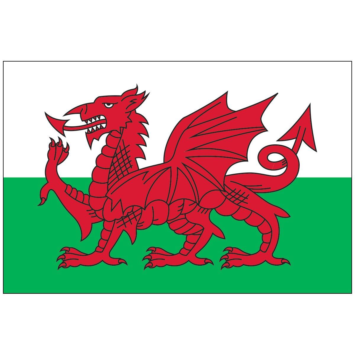 The flag of wales has a red dragon on it
