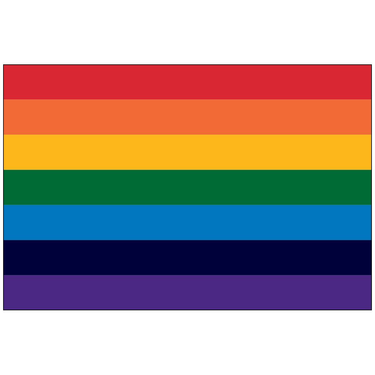 A rainbow flag with many different colors on a white background.